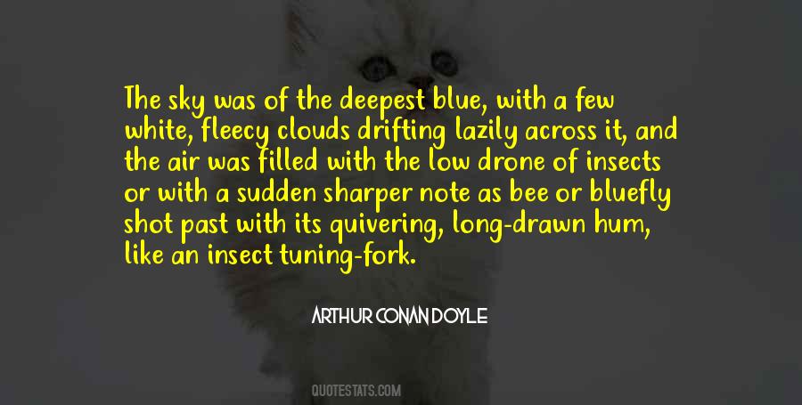 Blue Sky Clouds Quotes #29724