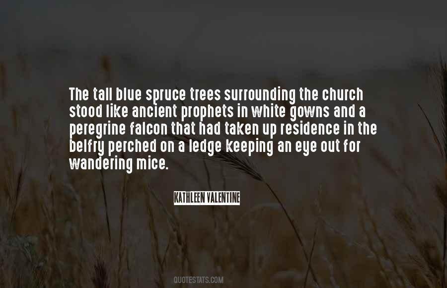 Blue Spruce Quotes #1691203