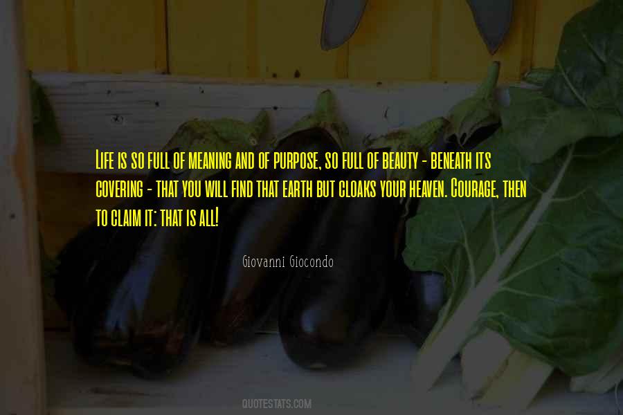 Meaning Of Courage Quotes #128823