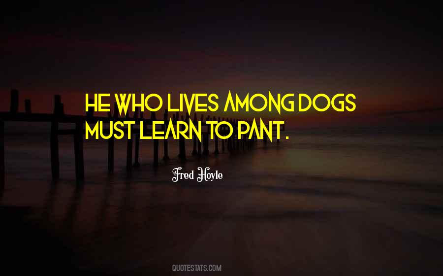 Stoffel The Honey Quotes #349380
