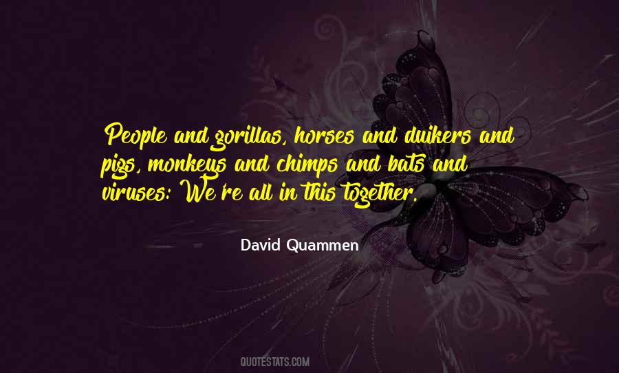 4463 Quotes #1374464