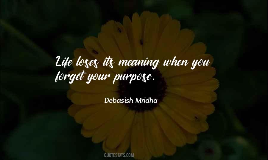 Meaning Purpose Quotes #224537