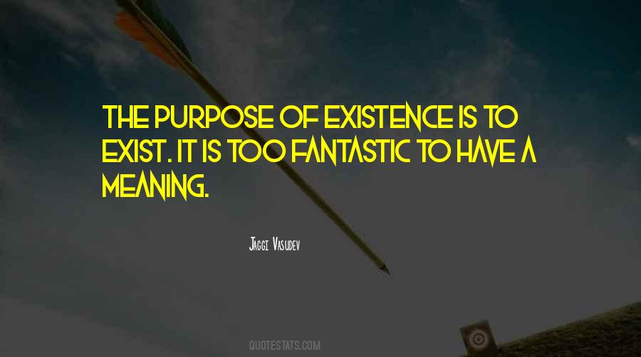 Meaning Purpose Quotes #290962