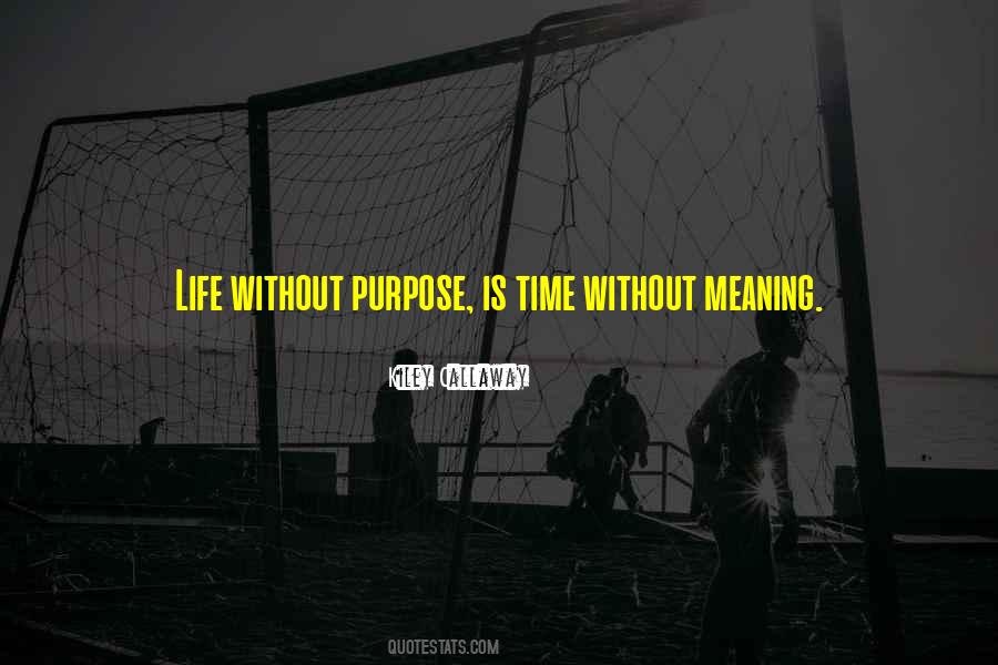 Meaning Purpose Quotes #372438