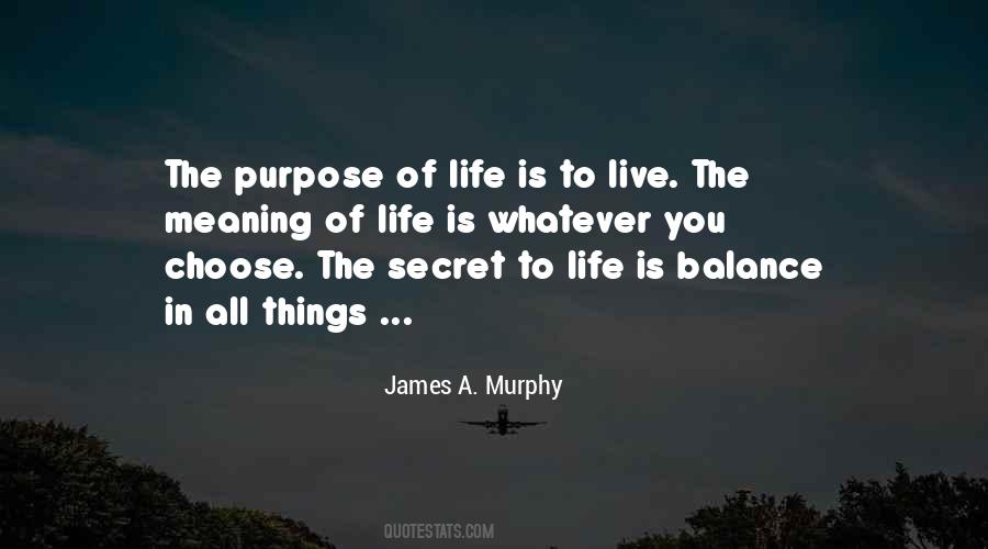 Meaning Purpose Quotes #48143
