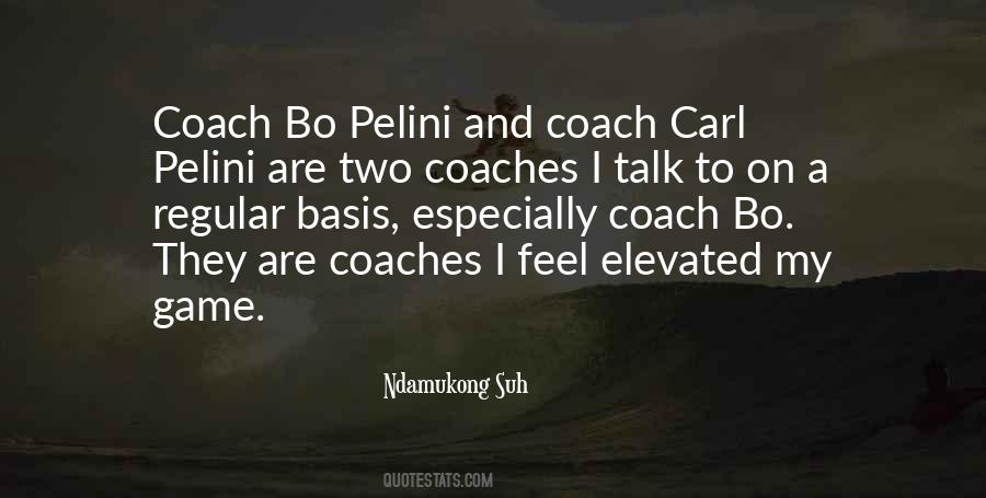 Bo Pelini Quotes #525870