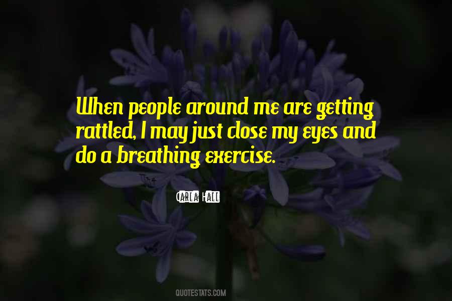 Zuanic Chicago Quotes #512774
