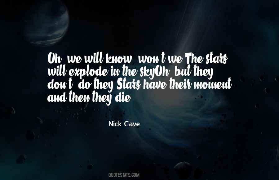 Quotes About The Stars In The Sky #254844