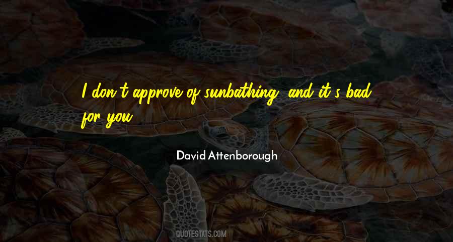 Zovatto Daniel Quotes #841675