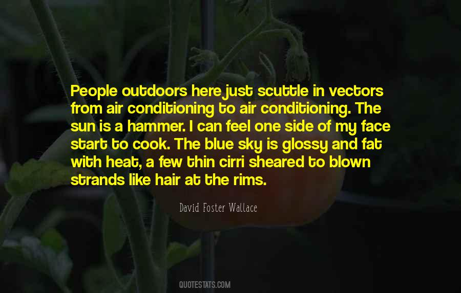 Parachuting Cats Quotes #312443