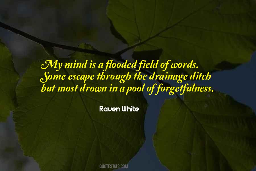 Sukadeva Quotes #864708