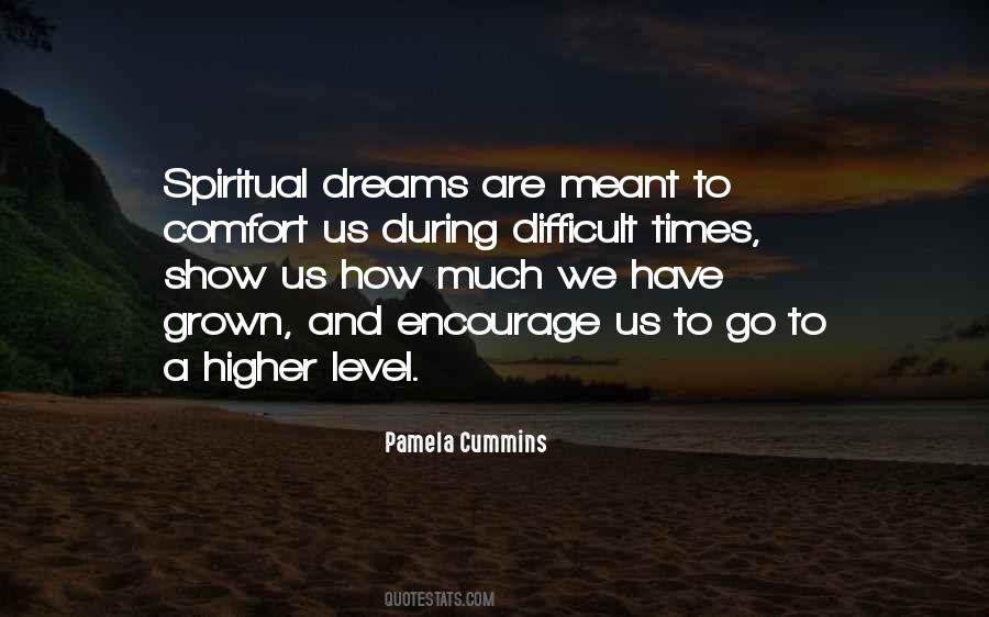 Modestine Lowe Quotes #1737645