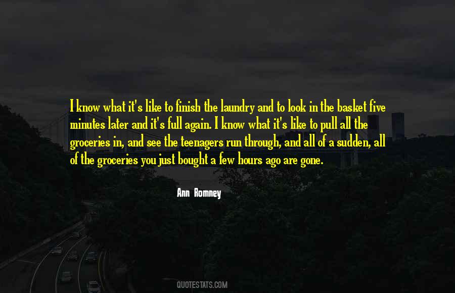 The Laundry Quotes #1476360