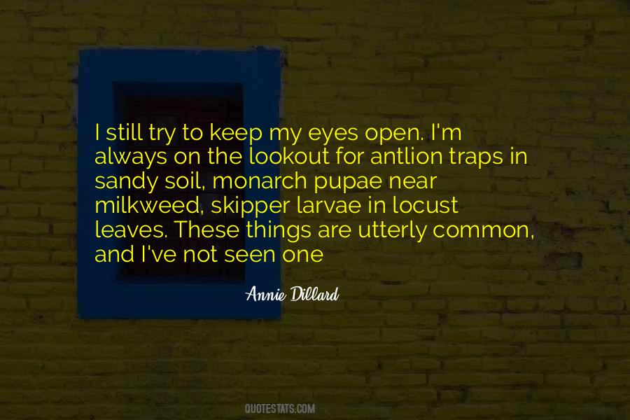 Fredercik Weisel Quotes #1690078