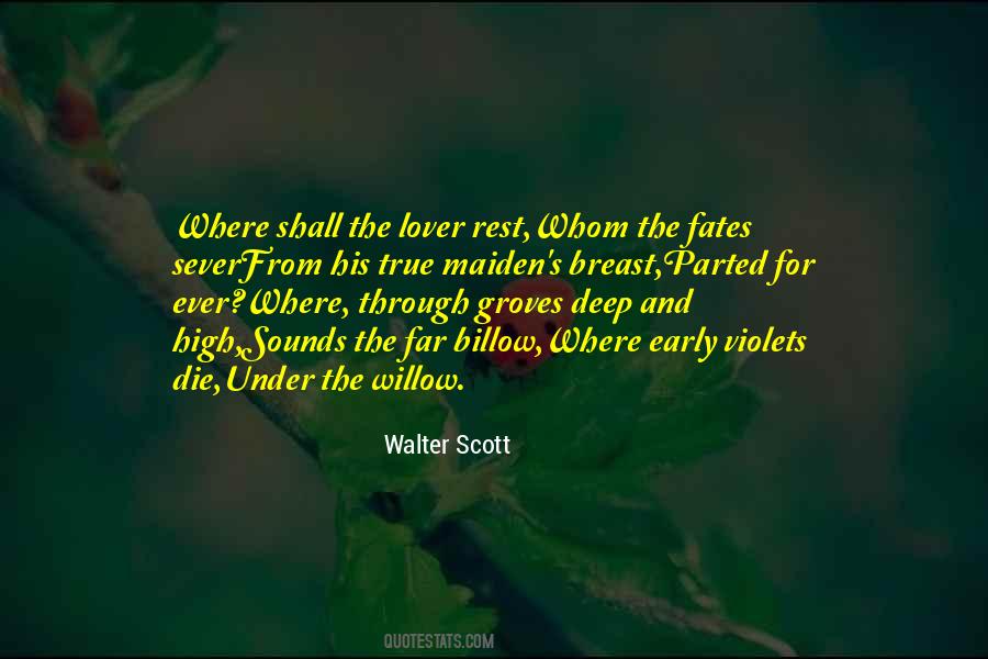 Yavapai Quotes #755115