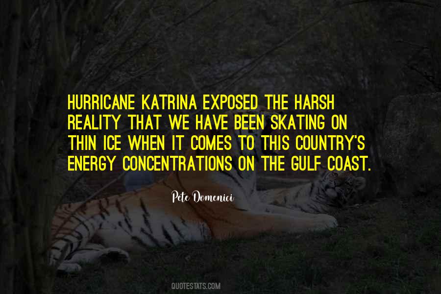 Kaplamalar Quotes #1495872