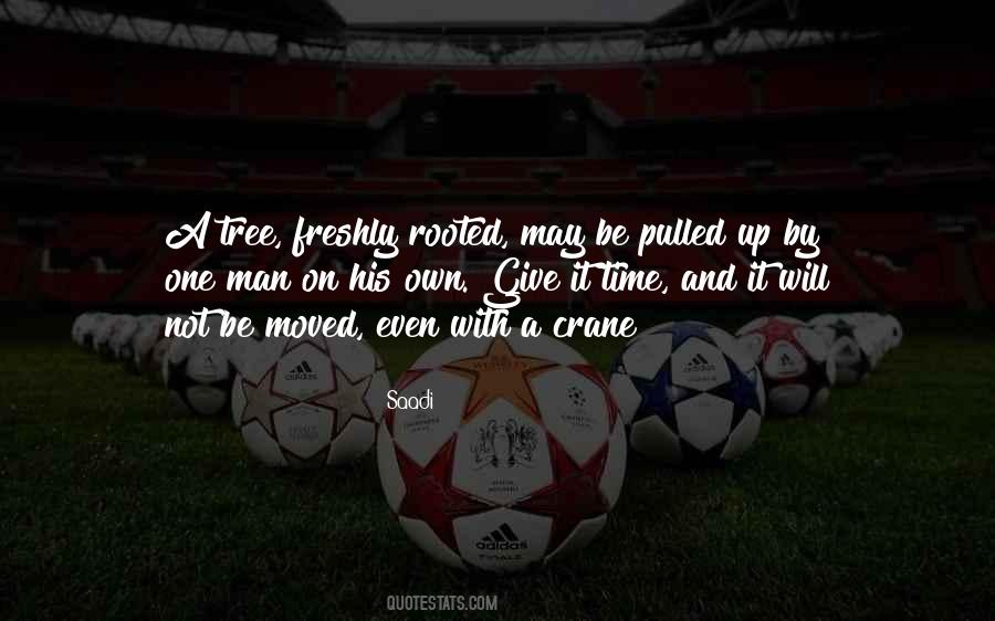 One Rooted Quotes #1488038