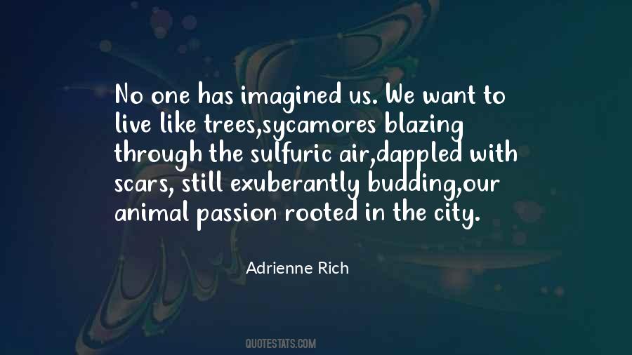 One Rooted Quotes #872166