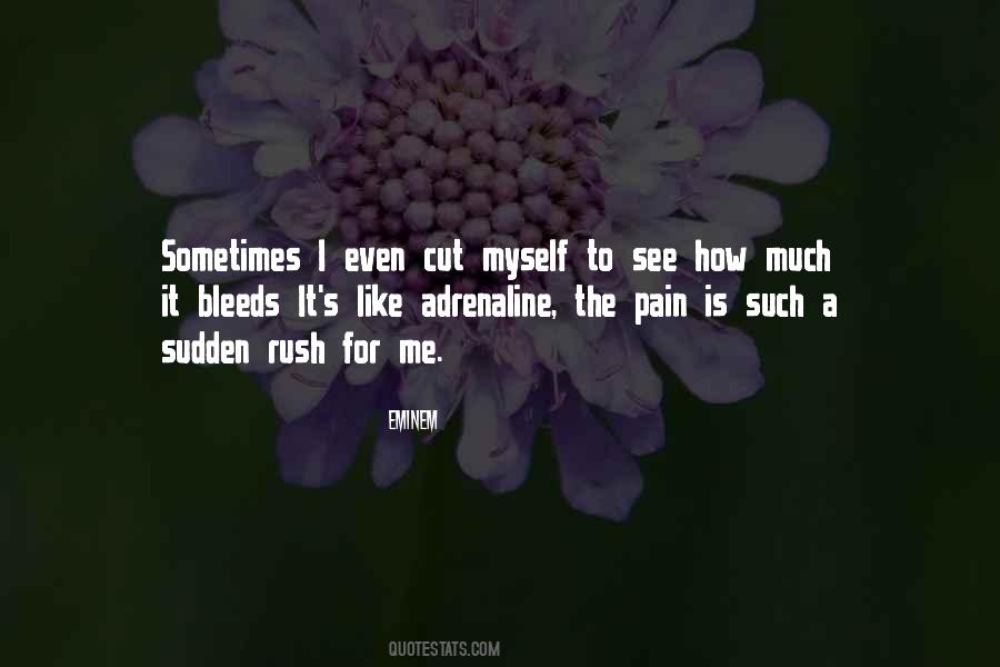 Such A Rush Quotes #669936