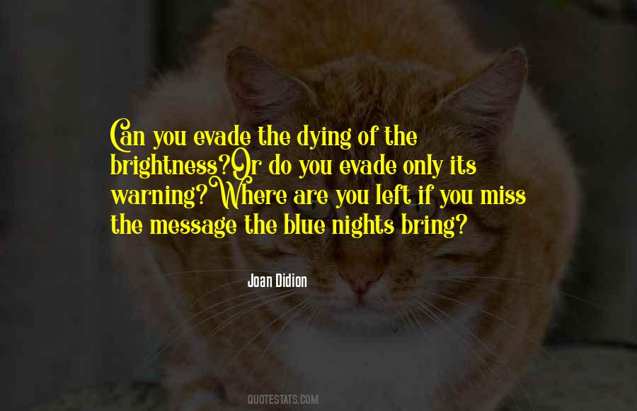 Lanoye Lieven Quotes #574488