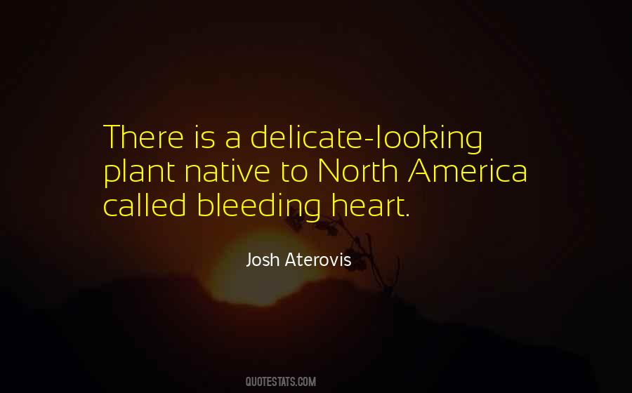 Auston Jon Quotes #1798836
