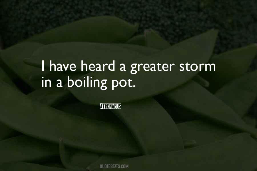 Boiling Quotes #1256630