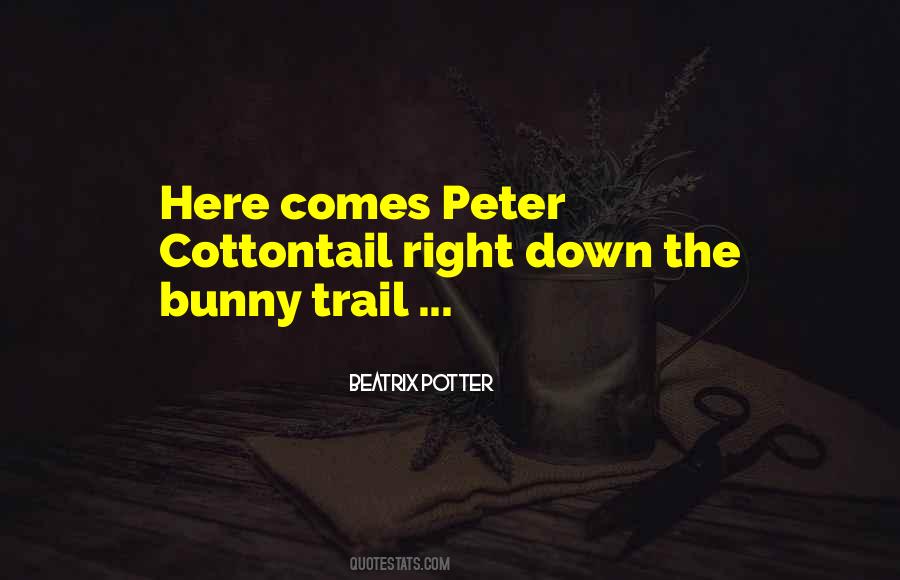 Bunnies From Beatrix Potter Quotes #137906