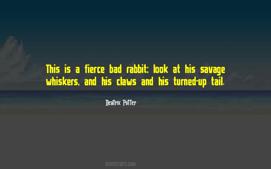 Bunnies From Beatrix Potter Quotes #560298
