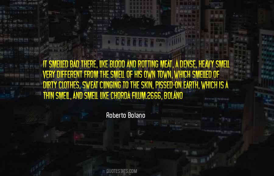 Bolano Quotes #1820632