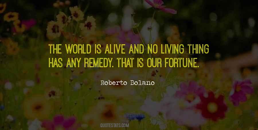 Bolano Quotes #750594