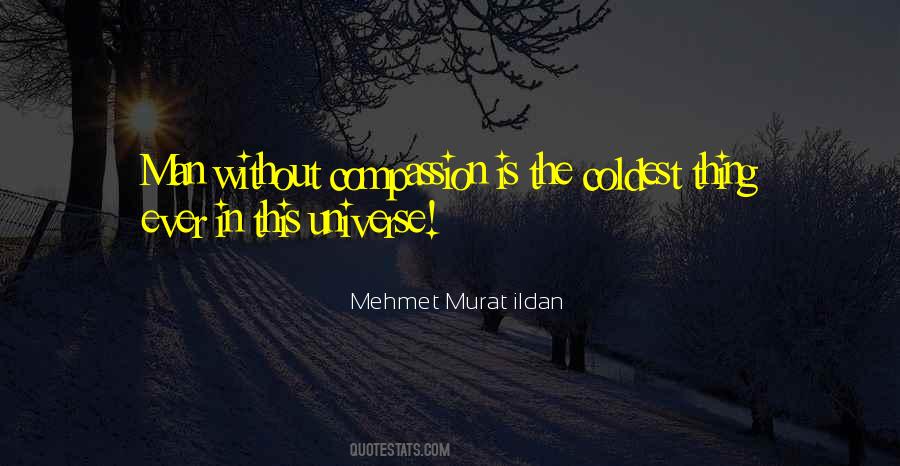 Panthere De Cartier Quotes #1819126