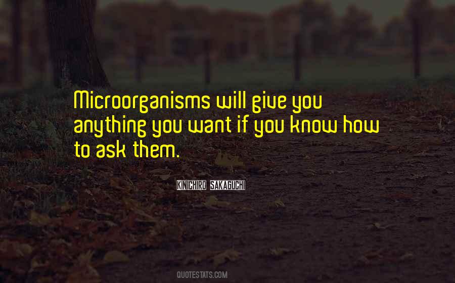 Sirna Vs Mirna Quotes #785469