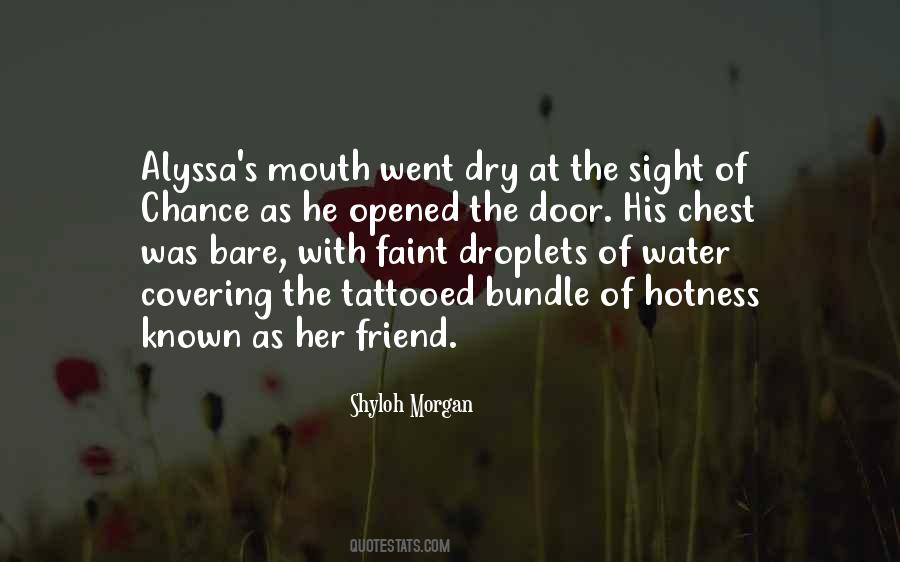 Scheffer International Quotes #1021125