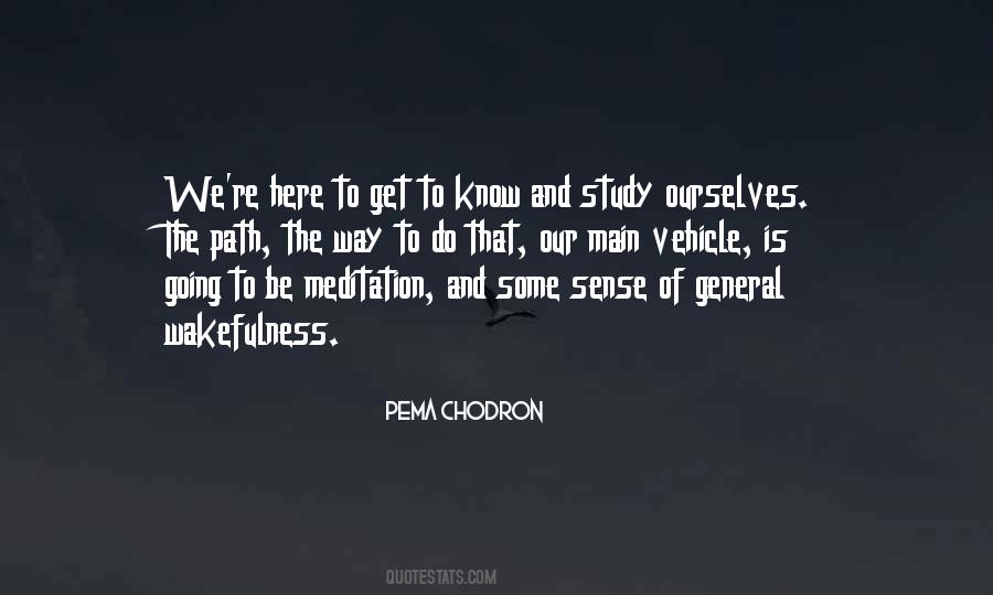 Schirripa Steve Quotes #510333