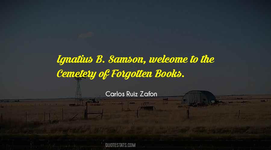 Zafon Cemetery Quotes #1311978
