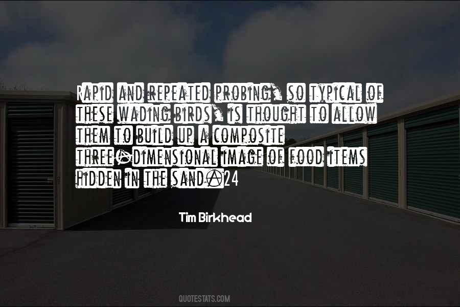 Scheherazade 1001 Nights Quotes #1528624