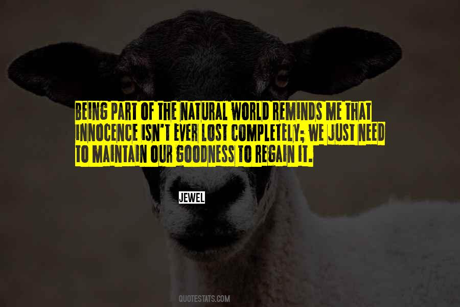 Gambarini Lessons Quotes #491404