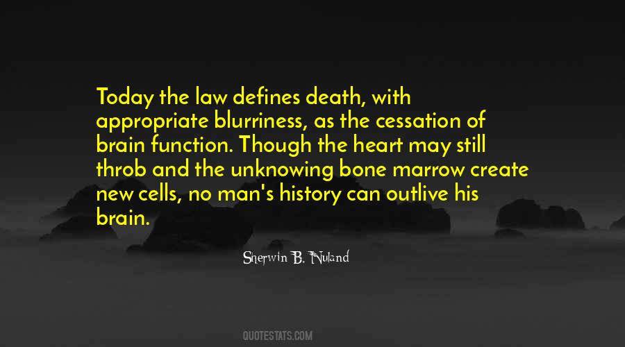 Bone Marrow Quotes #1567130