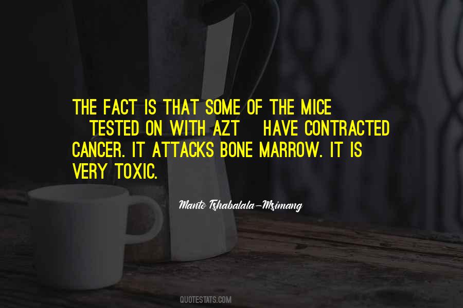 Bone Marrow Quotes #221206