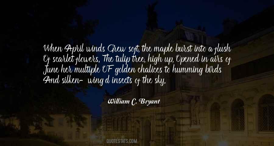Dhte Puducherry Quotes #1229710