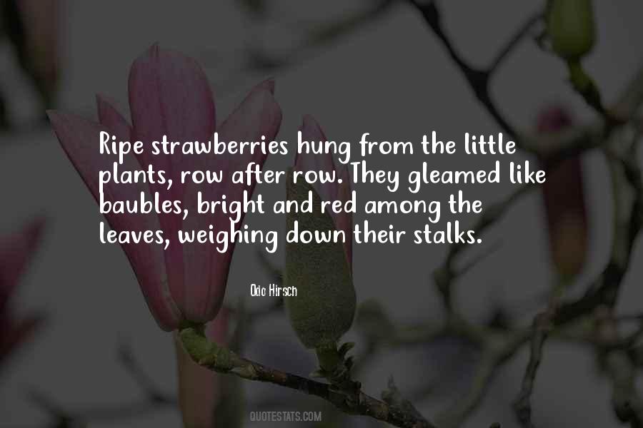 Ripe Strawberries Quotes #1170001