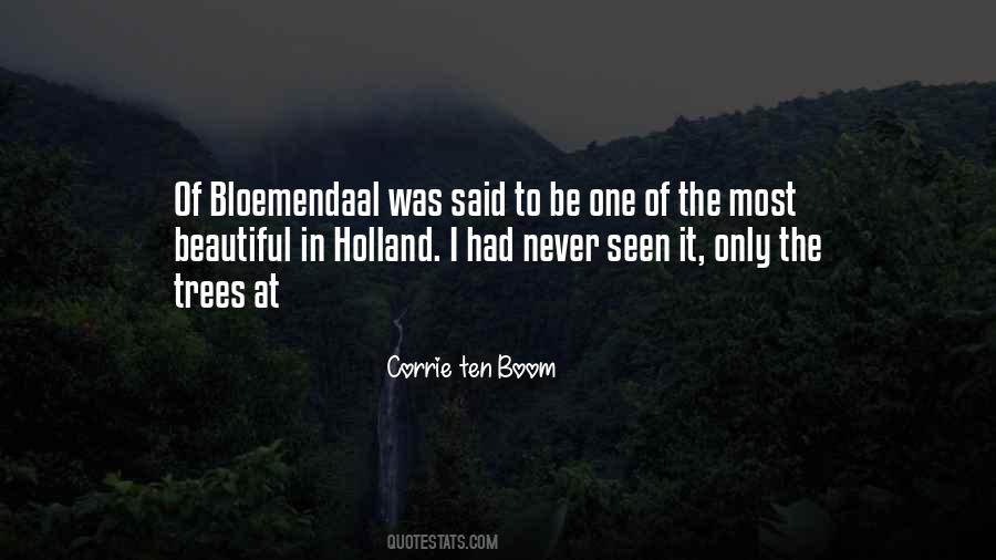 Boom Boom Quotes #303082 Boom Boom Quotes #303082