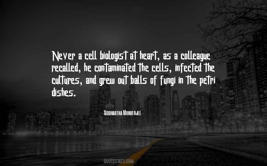 Theodosis Totolis Quotes #932939