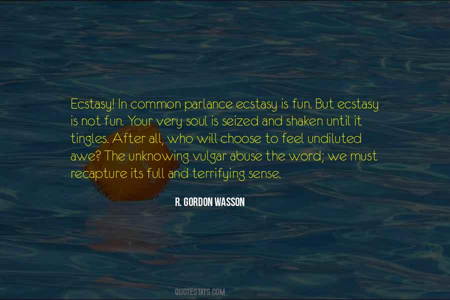 After The Ecstasy Quotes #1519431
