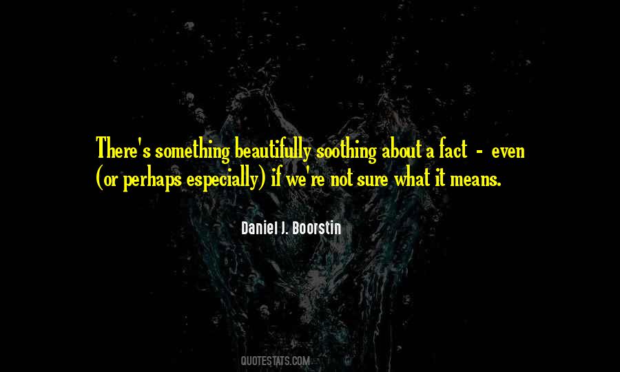 Boorstin Quotes #254152