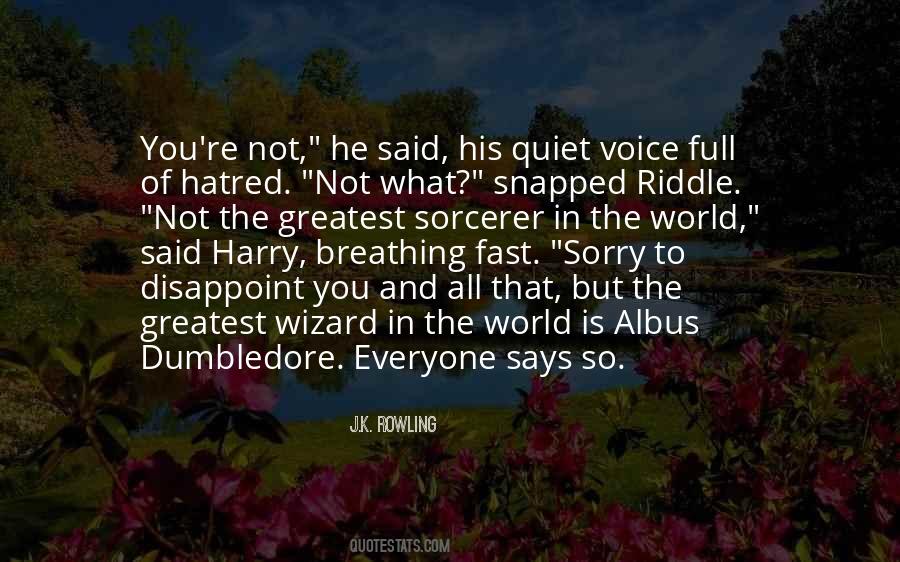 Okay Sorcerer Quotes #146090
