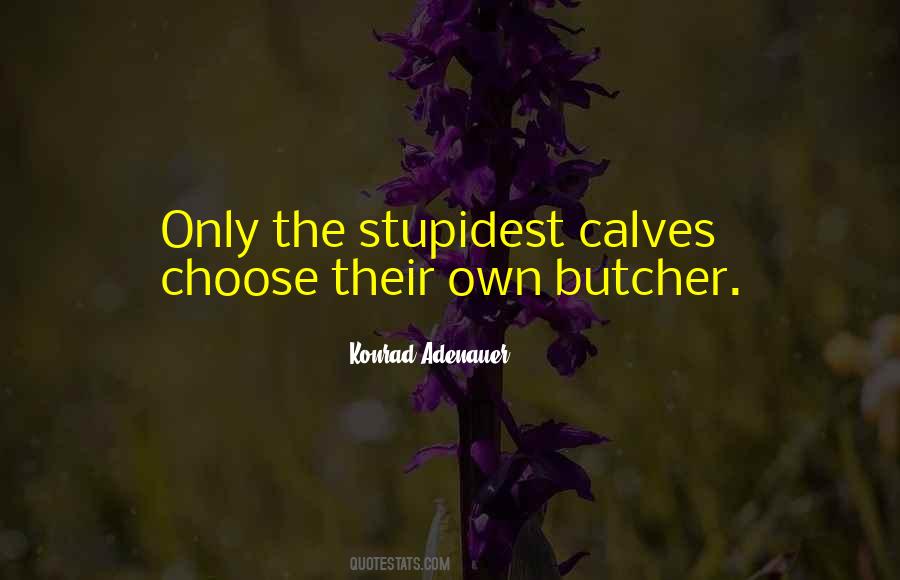 Stupidest Things Quotes #102595