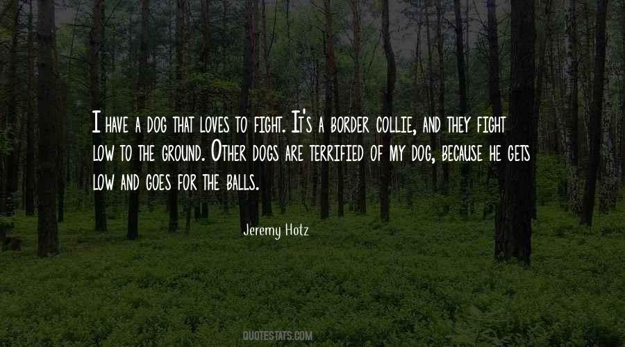 Border Collie Dog Quotes #1461948