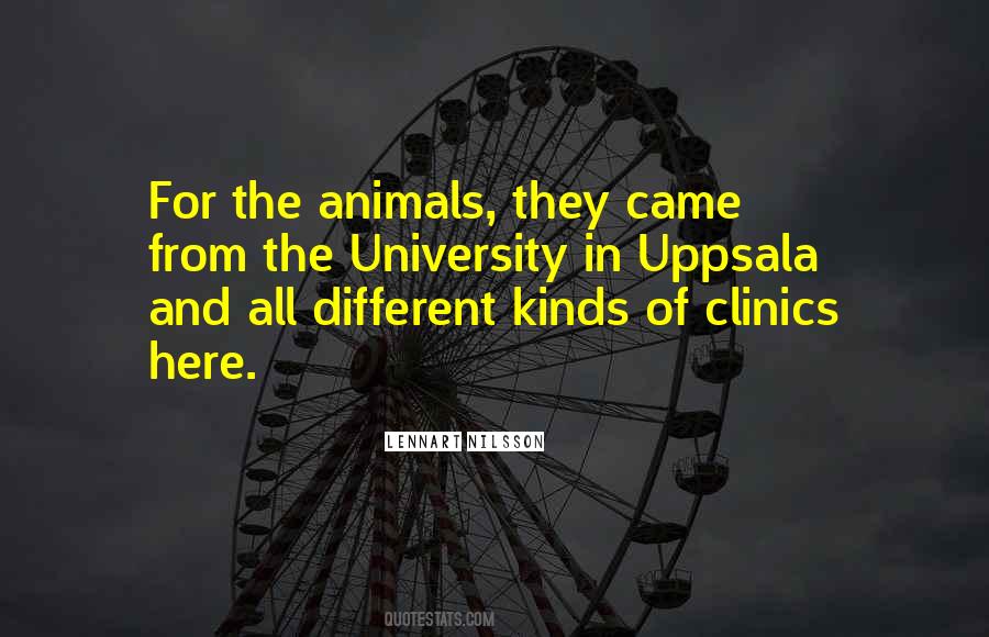 Animals They Quotes #1018258