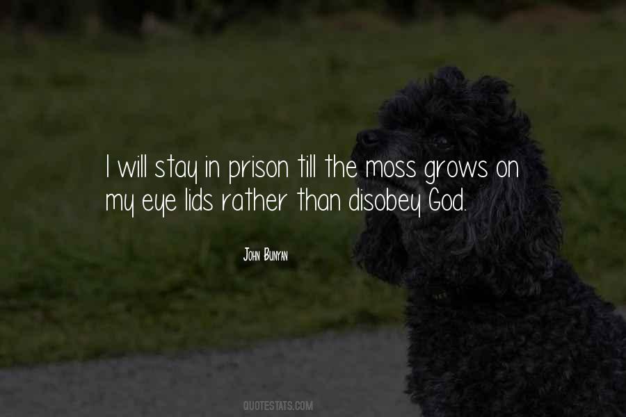 Montillo Braintree Quotes #958678